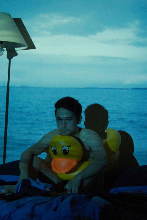 A Hole in the Bed (2009) poster