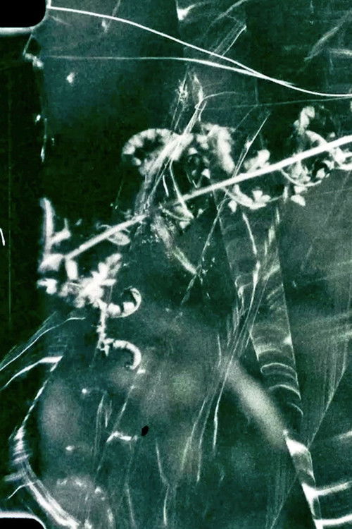 To Live and Die in the Shadows: Ferns, Survival and Horizontal Gene Transfer (2021) poster