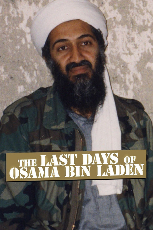 The Last Days of Osama Bin Laden (2011) poster