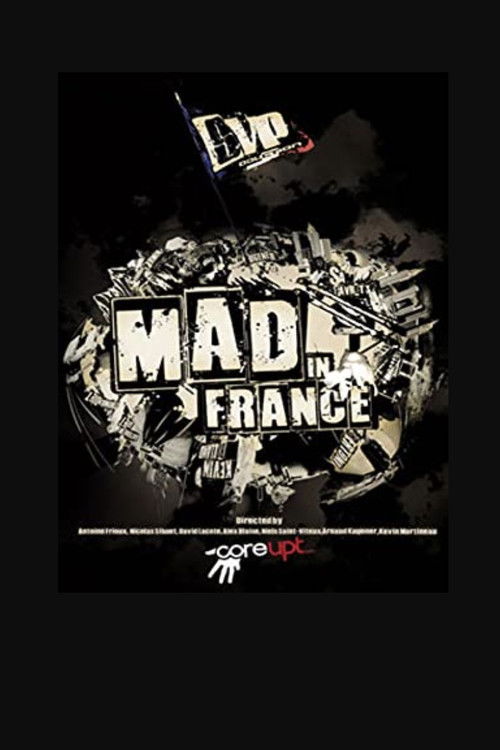 Mad in France (2009) poster
