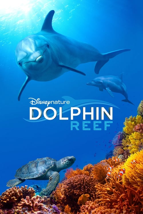 Dolphin Reef (2018) poster