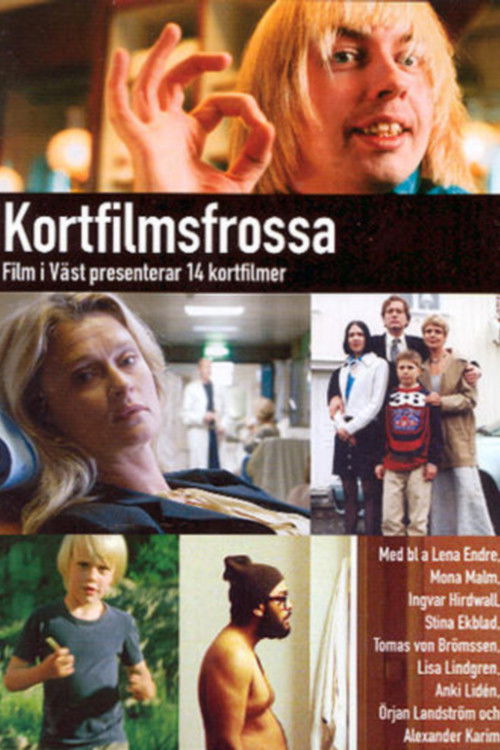 Jimmy Böljas fantasitrubadurpopskola (2003) poster