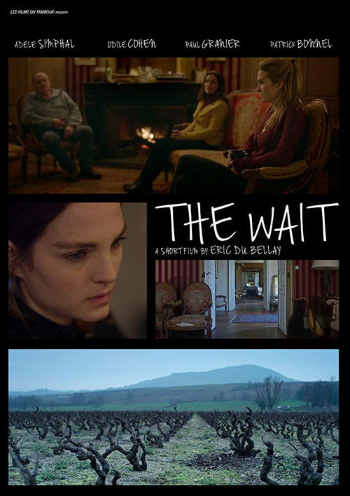L'Attente (2017) poster