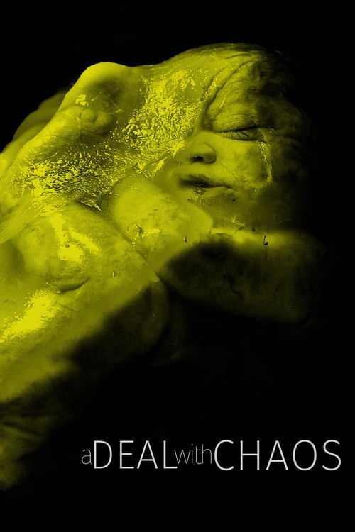 A Deal with Chaos poster
