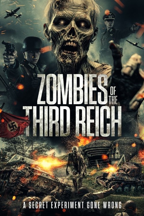 Zombies of the Third Reich (2025) poster