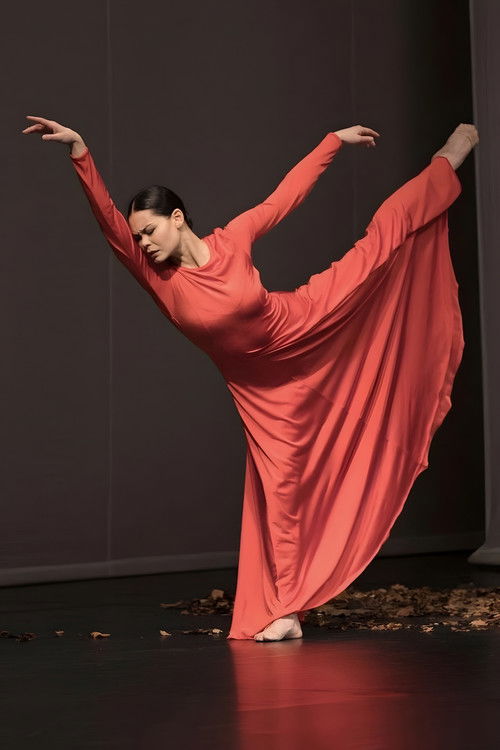 Adieu l’opéra (2025) poster