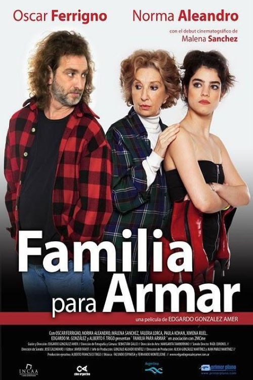 Familia para armar (2011) poster
