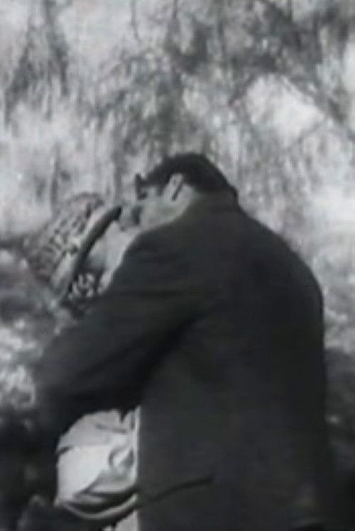 Murnaus Sunrise (1984) poster