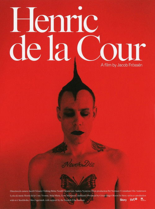 Henric de la Cour (2014) poster