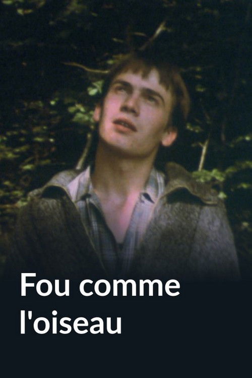 Fou comme l'oiseau (1983) poster