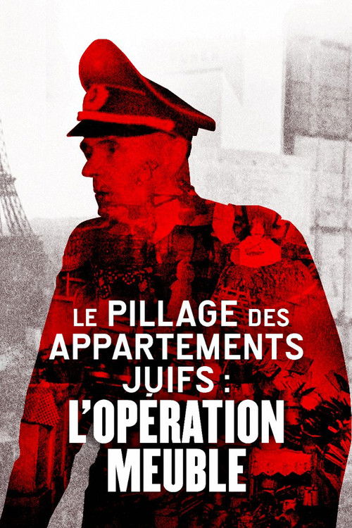 Le Pillage des appartements juifs : L'Opération Meuble (2020) poster