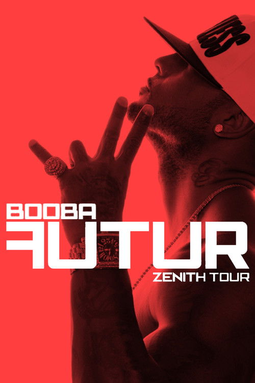 Booba Futur Tour Paris (2013) poster