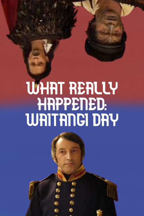 Waitangi Day: What Really Happened (2011) poster