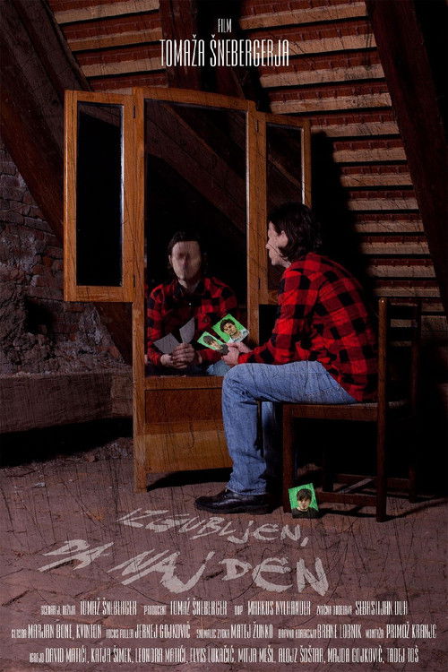 Lost to Be Found (2013) poster