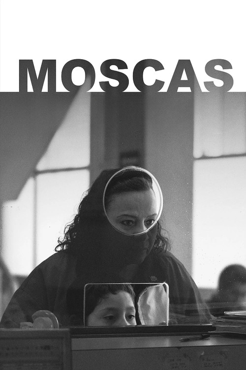 Moscas (2026) poster