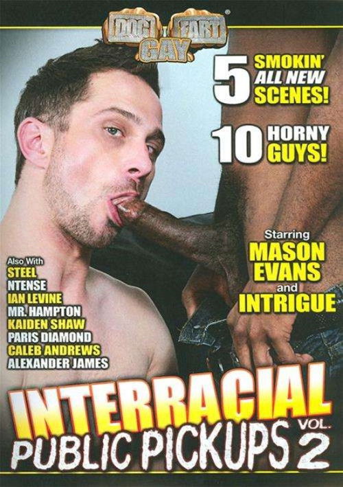 Interracial Public Pickups 2 (2015) poster