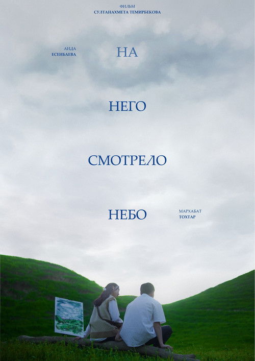 And The Sky Was Watching (2024) poster