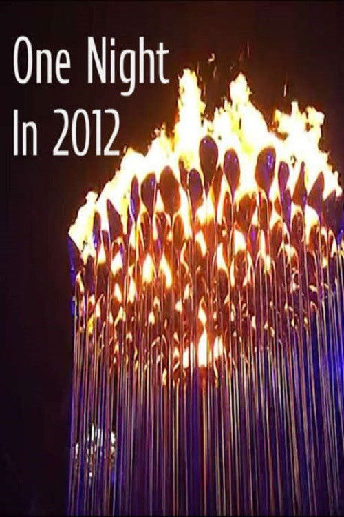 One Night In 2012 (2016) poster