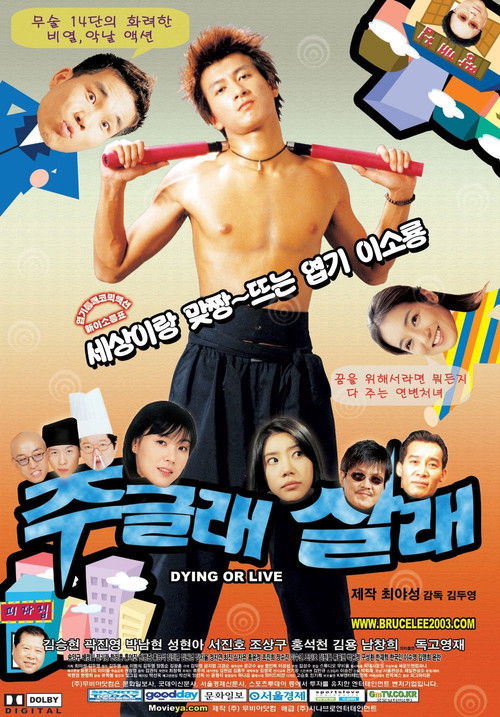 주글래 살래 (2003) poster