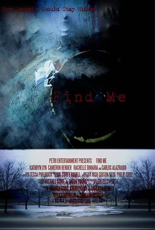 Find Me (2014) poster