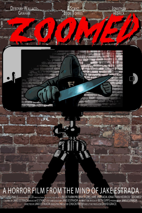 Zoomed (2021) poster