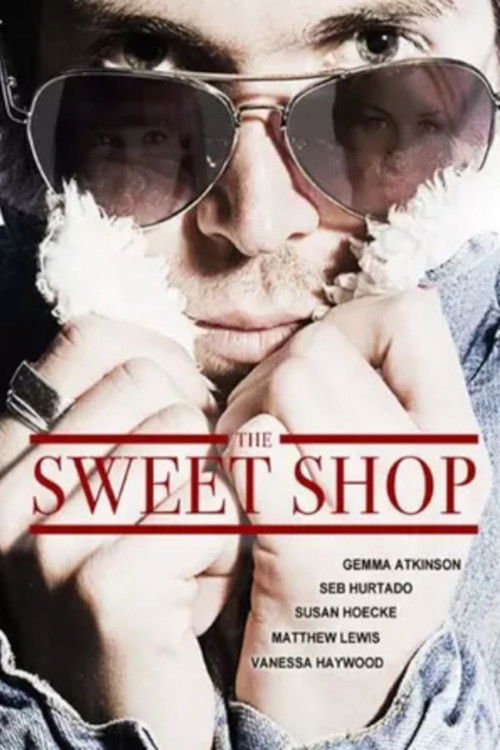 The Sweet Shop (2013) poster
