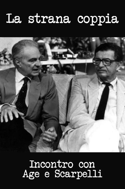 La strana coppia. Incontro con Age e Scarpelli (2001) poster