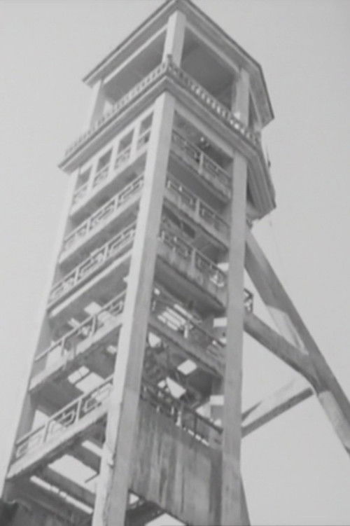 Memórias das Minas de São Pedro da Cova (1976) poster