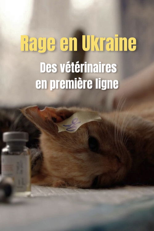 Rage en Ukraine : des vétériaires en première ligne (2026) poster