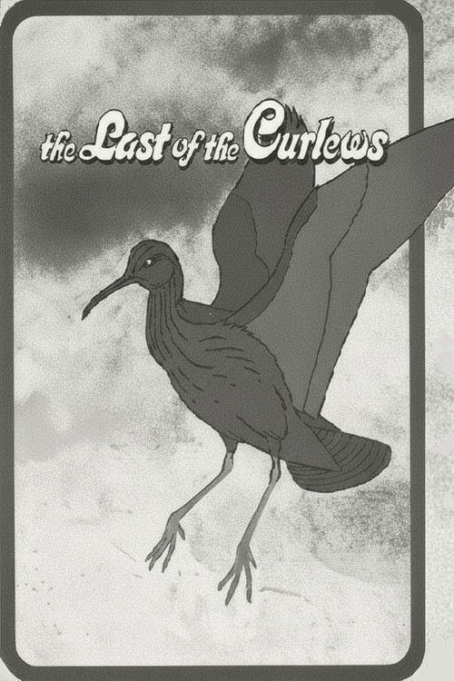 The Last of the Curlews (1972) poster
