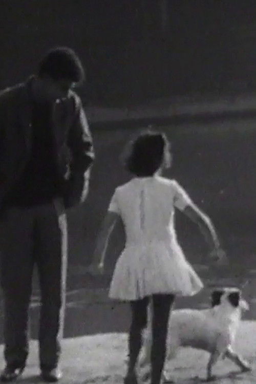 The Passengers (1971) poster