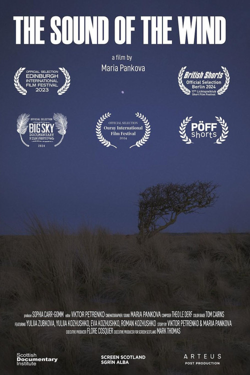 The Sound of the Wind (2023) poster