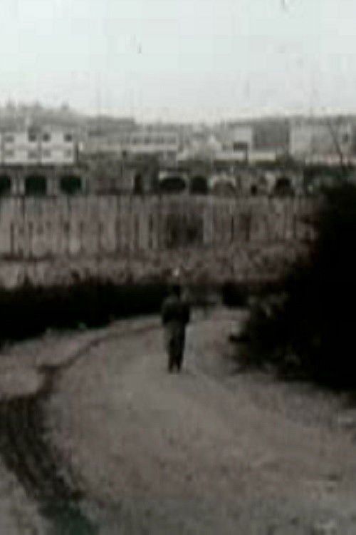 Last Afternoon (1980) poster