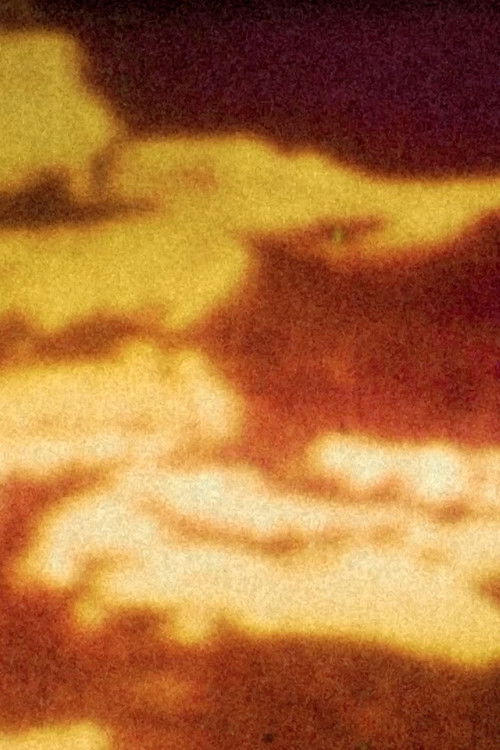 A desalambrar (2024) poster