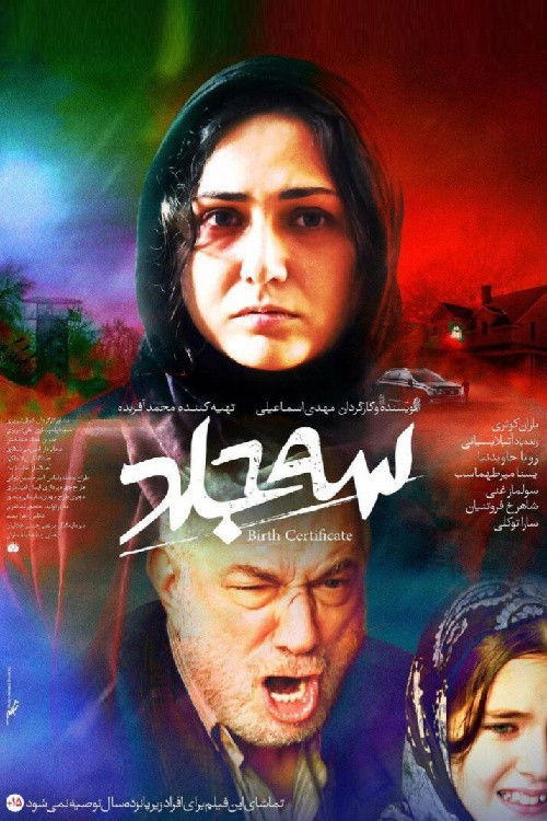 Birth Certificate (2025) poster