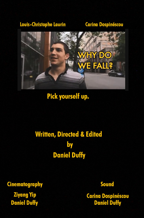 Why Do We Fall? (2012) poster