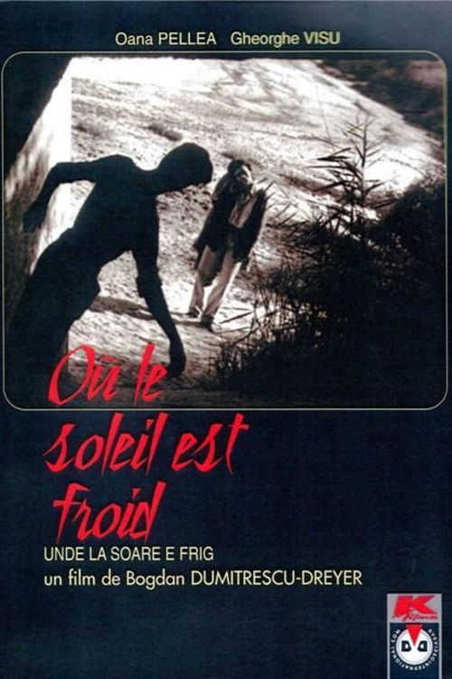 Unde la soare e frig (1991) poster