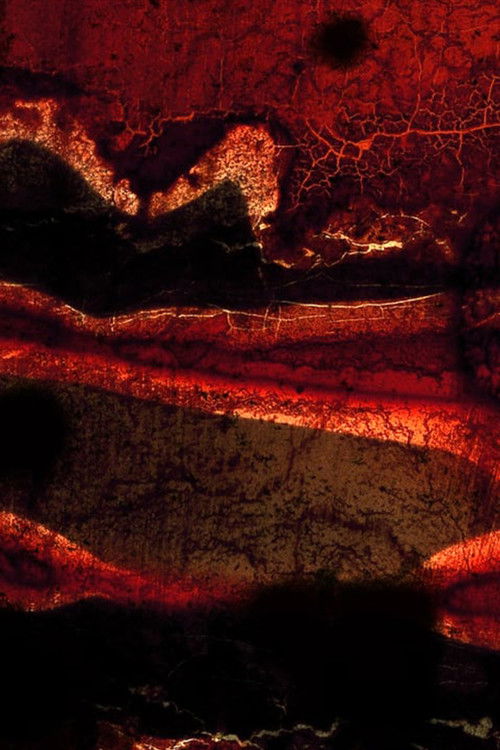 Wilderness Series (2017) poster