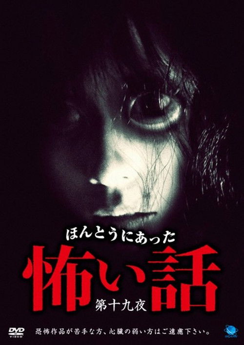 Scary True Stories: Night 19 (2011) poster