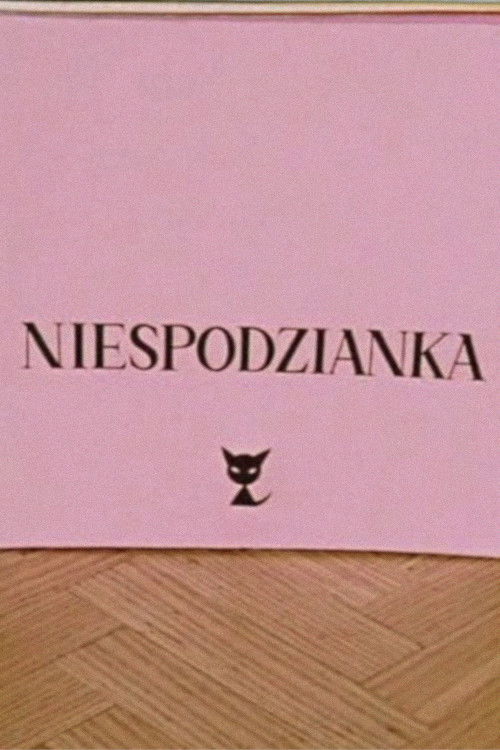 The Surprise (1965) poster