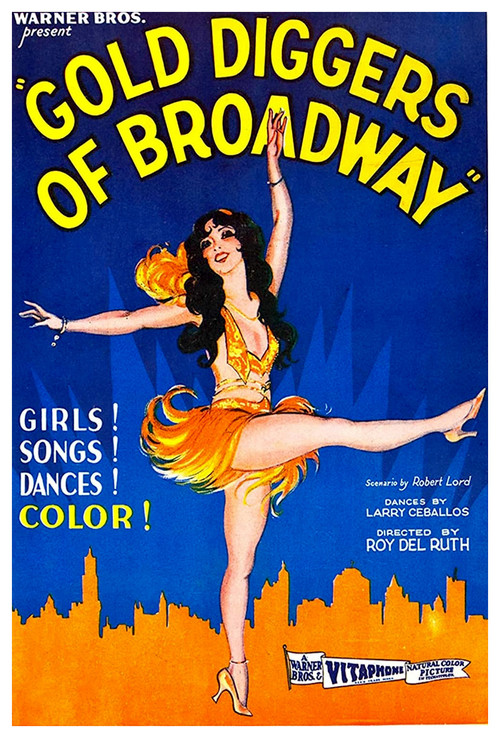 Gold Diggers of Broadway (1929) poster