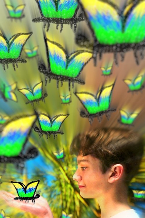 My Fascination With The Butterfly Effect (2025) poster