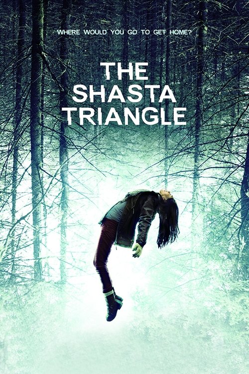 The Shasta Triangle (2019) poster