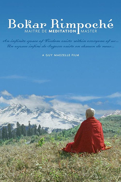 Bokar Rimpoche: Meditation Master (2007) poster