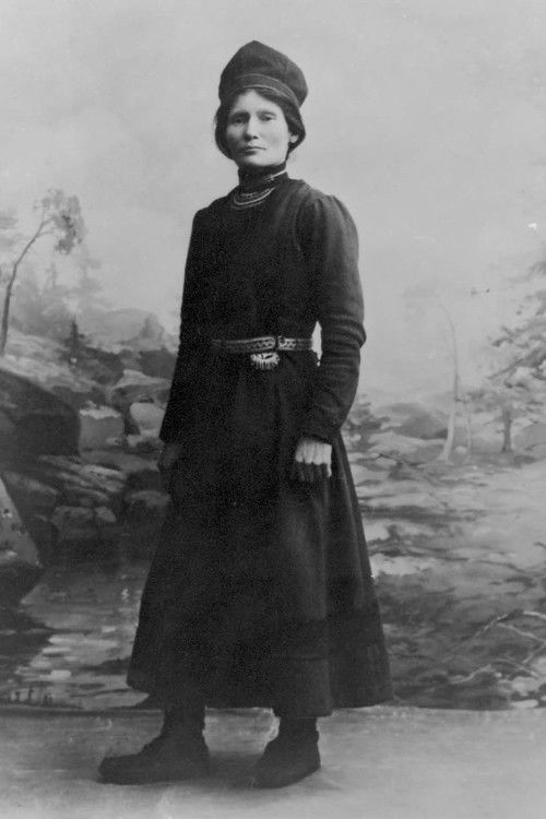 Elsa Laula Renberg (2017) poster