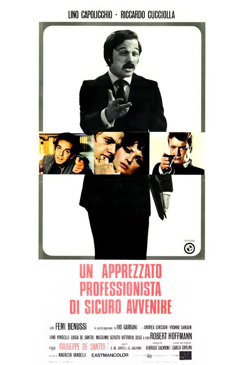 One Appreciated Professional of Sure Future (1972) poster