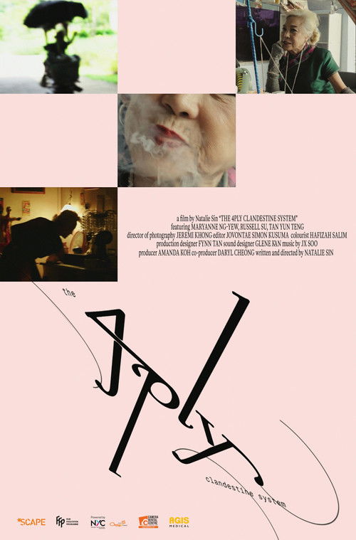 The 4PLY Clandestine System (2025) poster