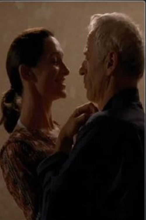 La Dérive des continents (2006) poster