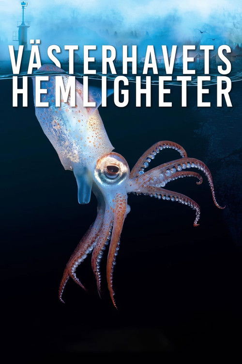 Västerhavets Hemligheter (2024) poster