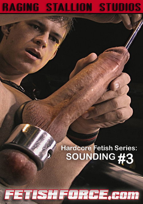 Hardcore Fetish Series: Sounding #3 (2009) poster